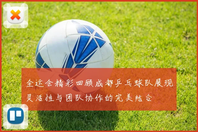 全运会精彩回顾成都乒乓球队展现灵活性与团队协作的完美结合