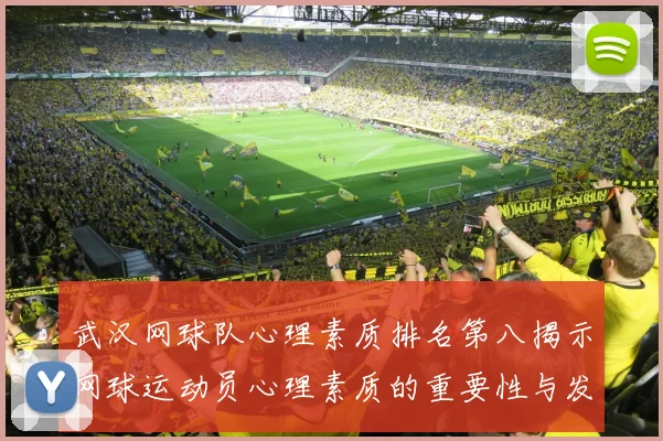 武汉网球队心理素质排名第八揭示网球运动员心理素质的重要性与发展潜力