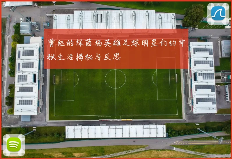 曾经的绿茵场英雄足球明星们的牢狱生活揭秘与反思