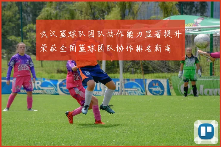 武汉篮球队团队协作能力显著提升荣获全国篮球团队协作排名新高