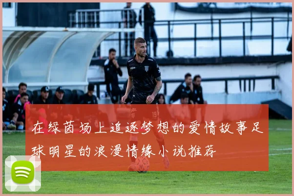 在绿茵场上追逐梦想的爱情故事足球明星的浪漫情缘小说推荐