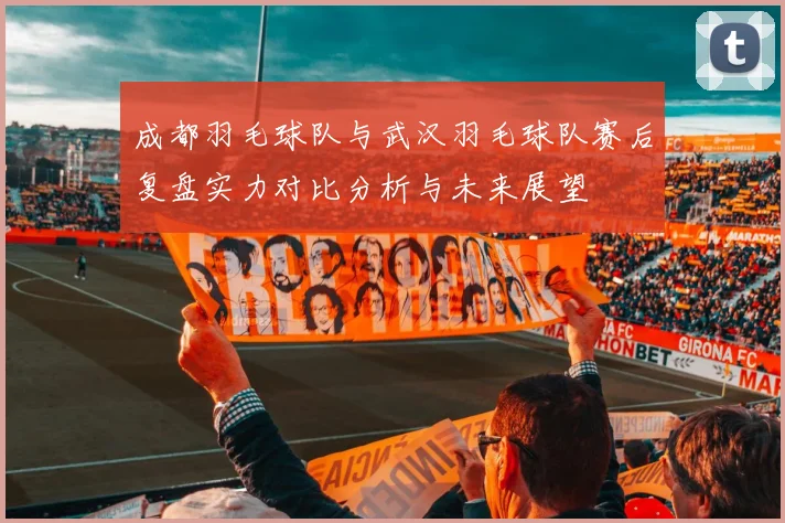 成都羽毛球队与武汉羽毛球队赛后复盘实力对比分析与未来展望