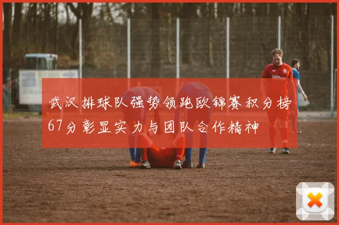 武汉排球队强势领跑欧锦赛积分榜67分彰显实力与团队合作精神