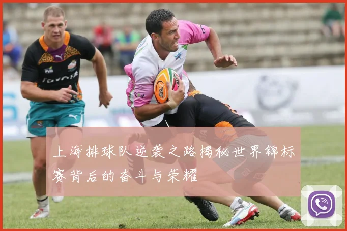 上海排球队逆袭之路揭秘世界锦标赛背后的奋斗与荣耀