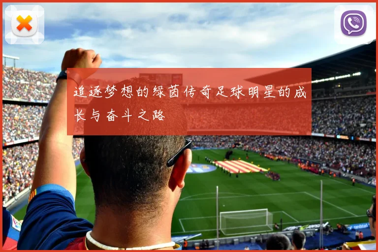 追逐梦想的绿茵传奇足球明星的成长与奋斗之路