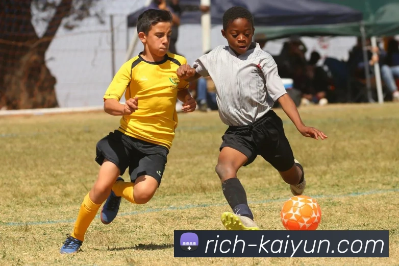 开云平台生态图